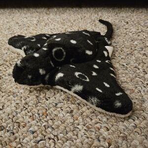 Fiesta Black White Stingray